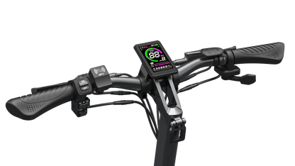 R6 Dual Motor Electric Scooter
